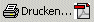 Druckversion als PDF-Dokument